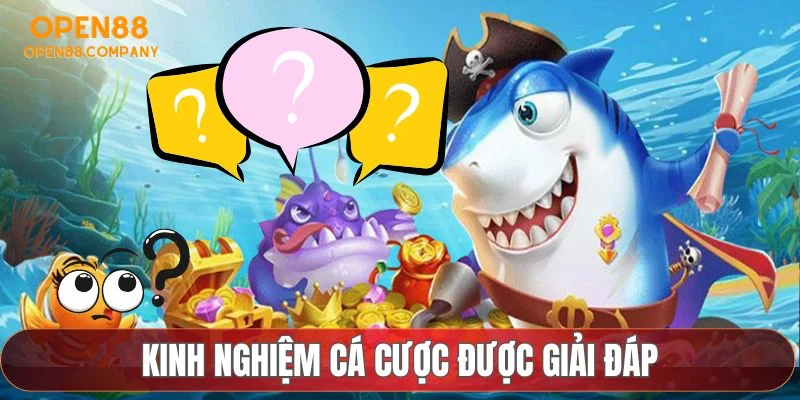 Kinh nghiệm cá cược được giải đáp tại OPEN88
